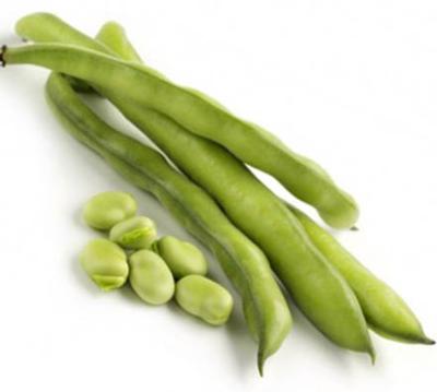 FEVETTE 300GR