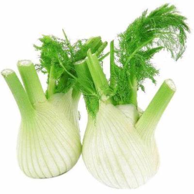 FENOUIL PROVENCE 1KG