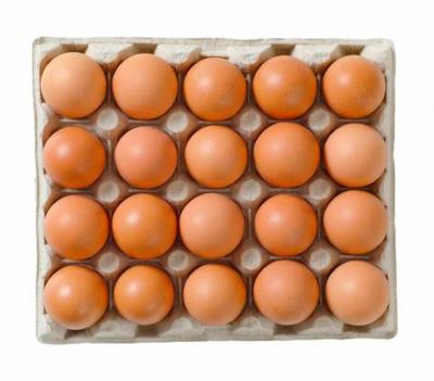OEUFS FRAIS DE DRAP PAR 20