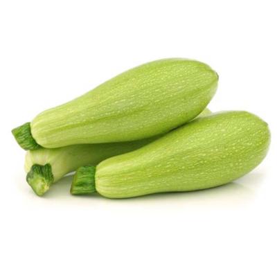 Courgette blanche 