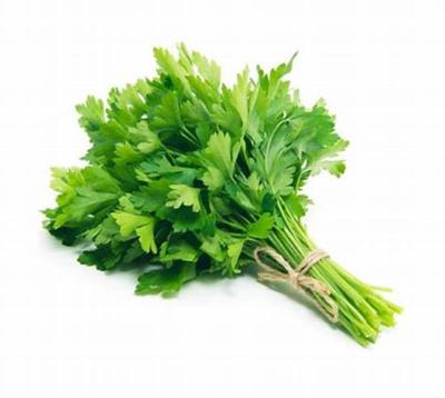 BOUQUET PERSIL PLAT 
