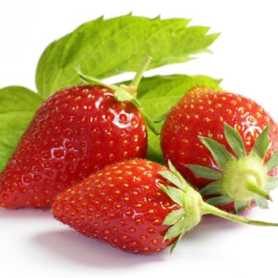 FRAISE CIFLORETTE DE PROVENCE  250GR 