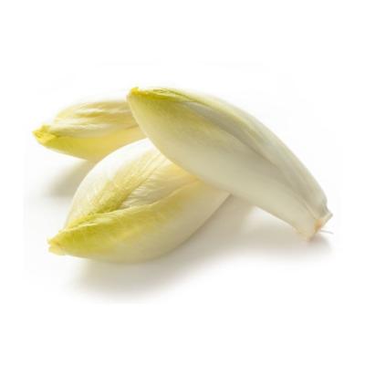 ENDIVE EXTRA 500GR