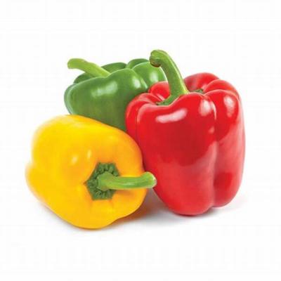 POIVRON MIXTE 1KG 3/4 PIECES