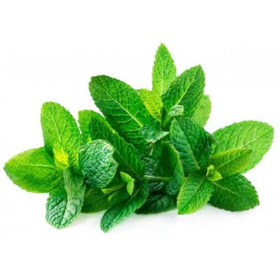 BOUQUET MENTHE