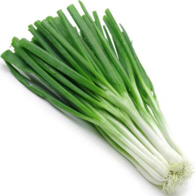 POIREAU