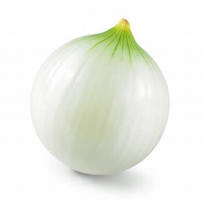 OIGNON BLANC 1KG 