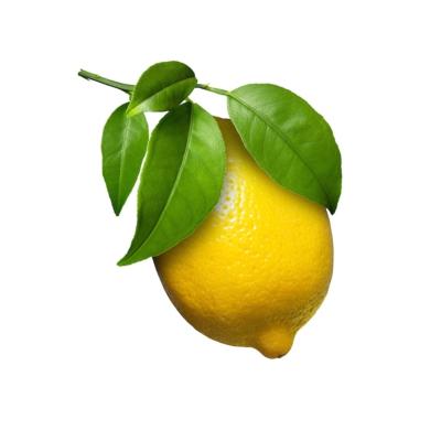 CITRON FEUILLES DE NICE 1KG
