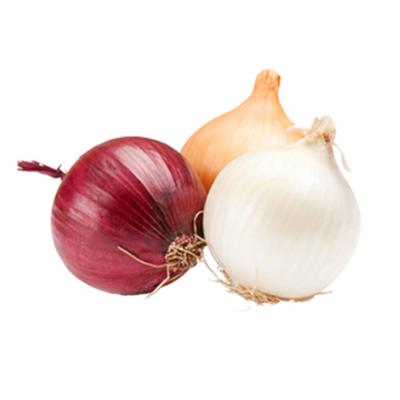 OIGNON MIXTE 1KG 