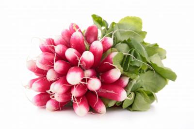 RADIS ROSE PROVENCE 