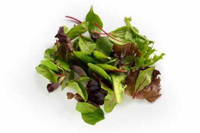 MESCLUN  DE PROVENCE  200 GR 