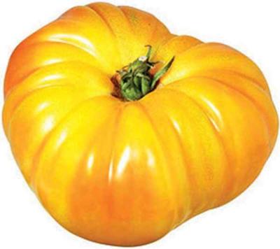 TOMATE COEUR DE BOEUF  "ANANAS" DE PROVENCE . 1KG 