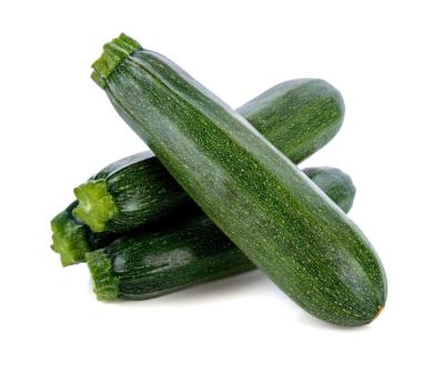 COURGETTE VERTE DE PROVENCE 