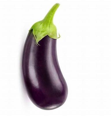 Aubergine Noire